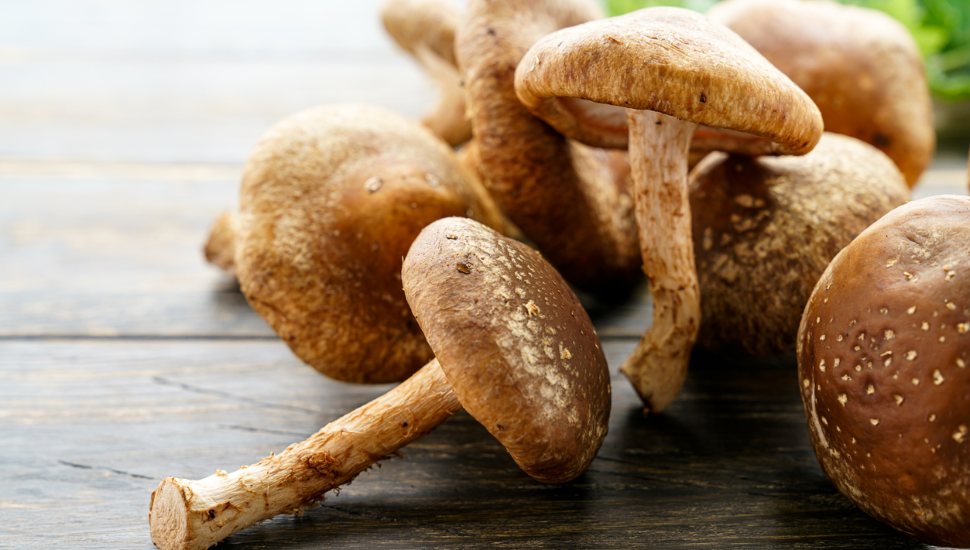 small pile of brown mushrooms