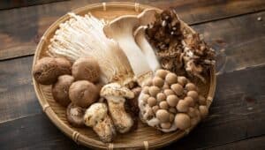 assorted mushrooms in bowl