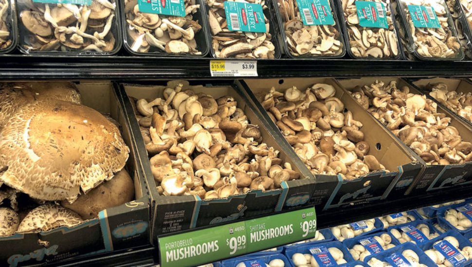 mushrooms in boxes at grocery store