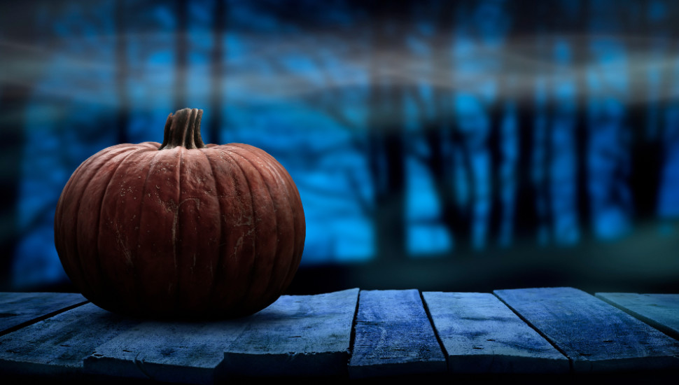Halloween from Timid to Traumatic: Lancaster County Has Both Extremes and Everything in Between