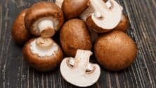 small pile of brown mushrooms