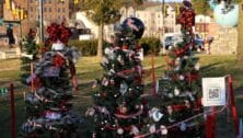 Pavilion of Trees 2021 Christmas in Coatesville