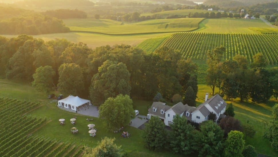 Wayvine Winery and Vineyard