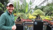 Bonsai artist Kevin Bilecki, left, with the donated bonsais at Longwood Gardens