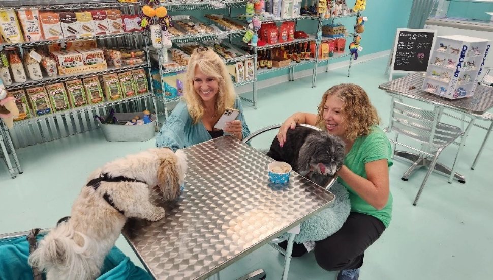 Salty Paws shop
