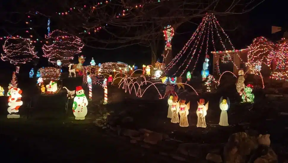 West Caln Resident’s Glittering Front Yard Displays Around 2.5 Miles of Christmas Lights