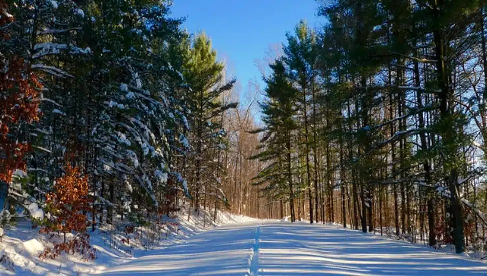 French Creek State Park