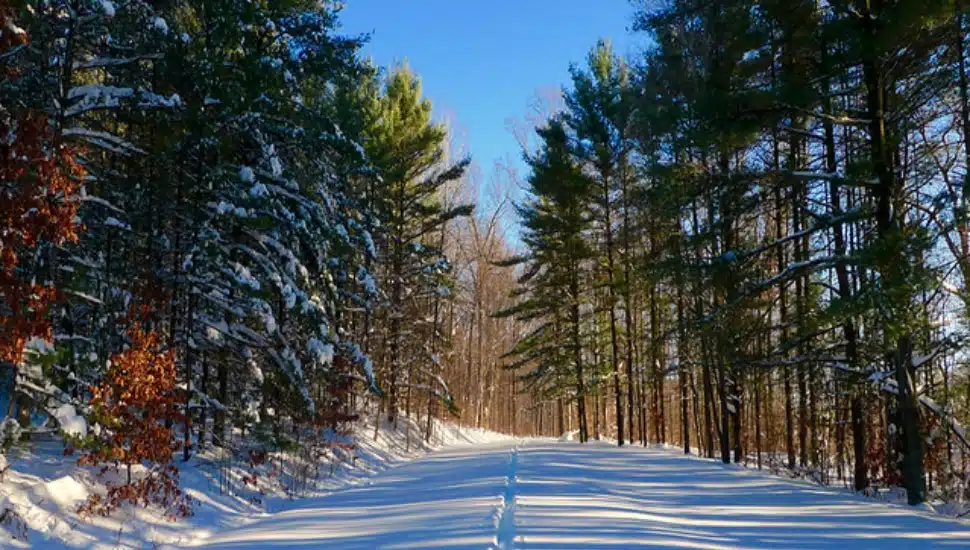 French Creek State Park