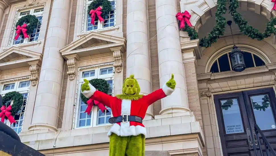 OCNJ grinch