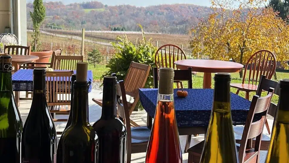 Stargazers winery