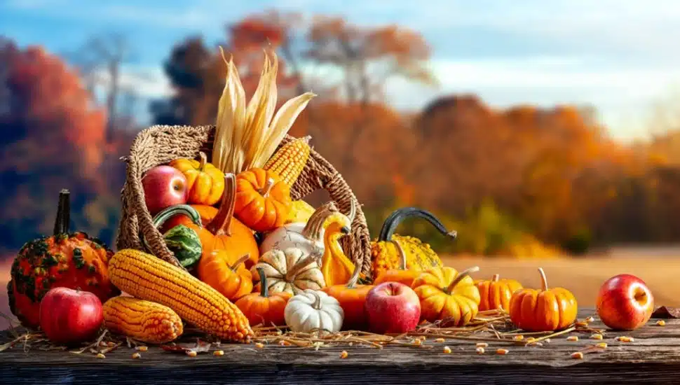 Thanksgiving