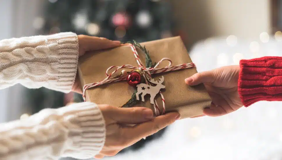 perfect gift for the holidays
