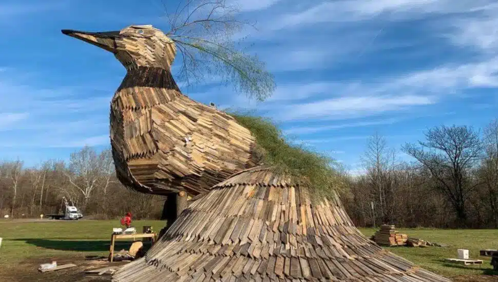 Firebird Festival bird