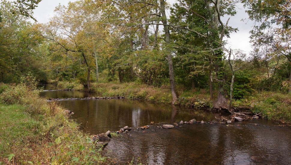 park in Chester County, water, trees