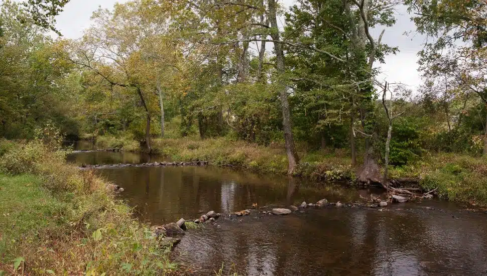 park in Chester County, water, trees