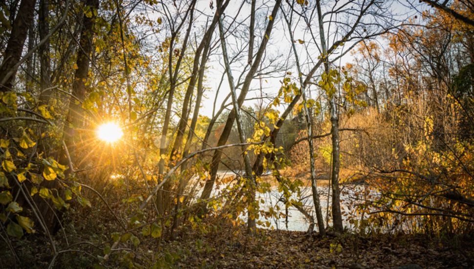 part of the Schuylkill River Greenways