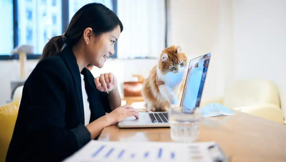 Five Remote Jobs that Pay Over 0K