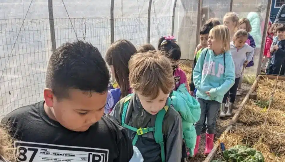 Students visiting the farm.