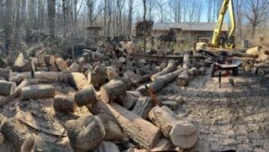 James Stango firewood cutting