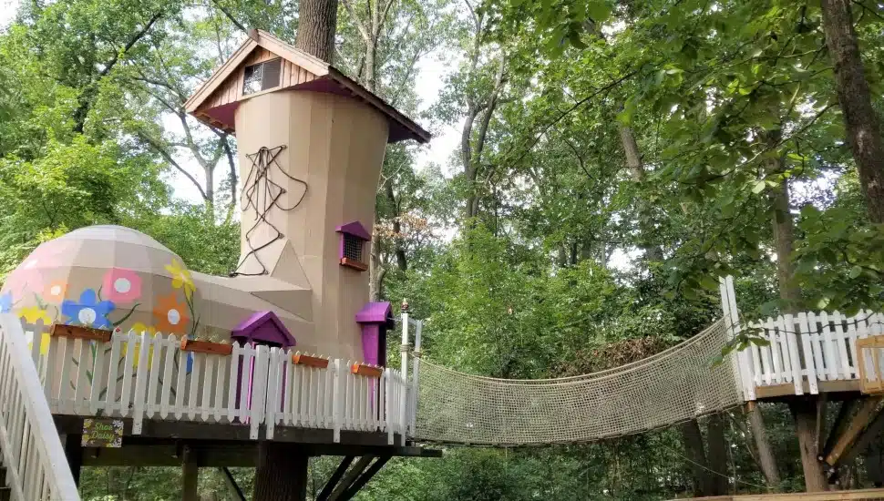 Shoe Daisy Treehouse at Treehouse World.