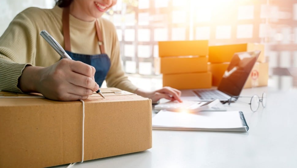 State Small Business Credit Initiative