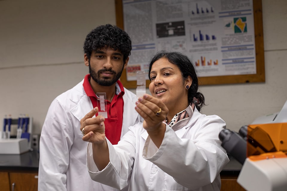 Widener bioengineering associate professor Dr. Anita Singh works with undergraduate researcher Zaph Joseph on NBPP, a childbirth injury that can lead to loss of movement
