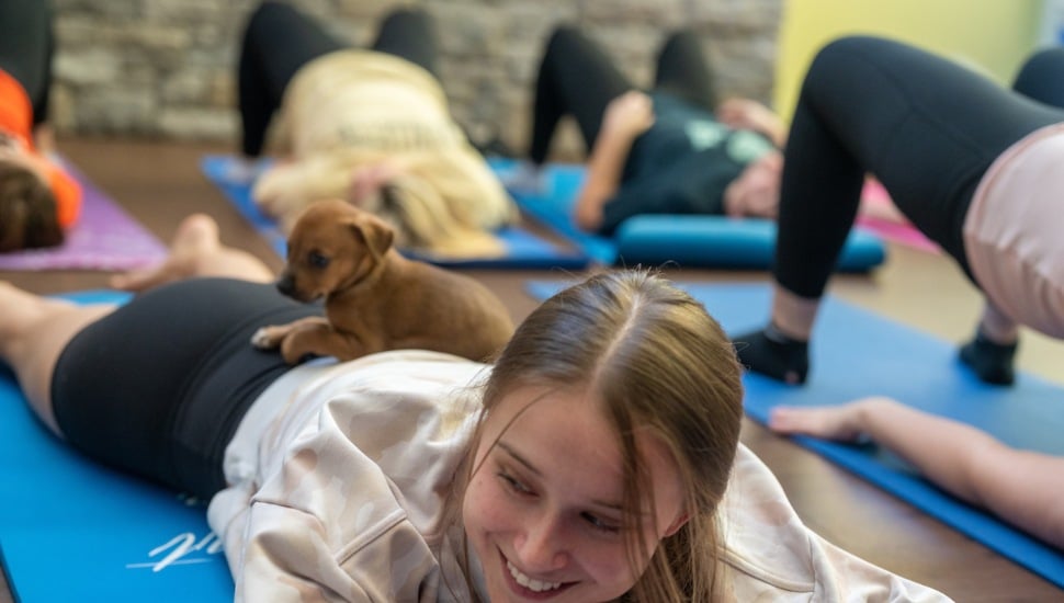 Puppy Yoga: A Double-Dog Cure for Stress at Neumann University