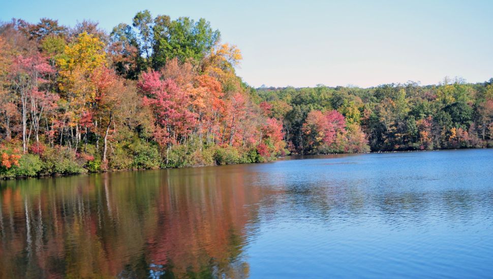 French Creek State Park in the fall.
