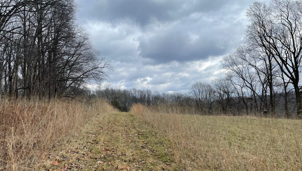 Magic Valley land