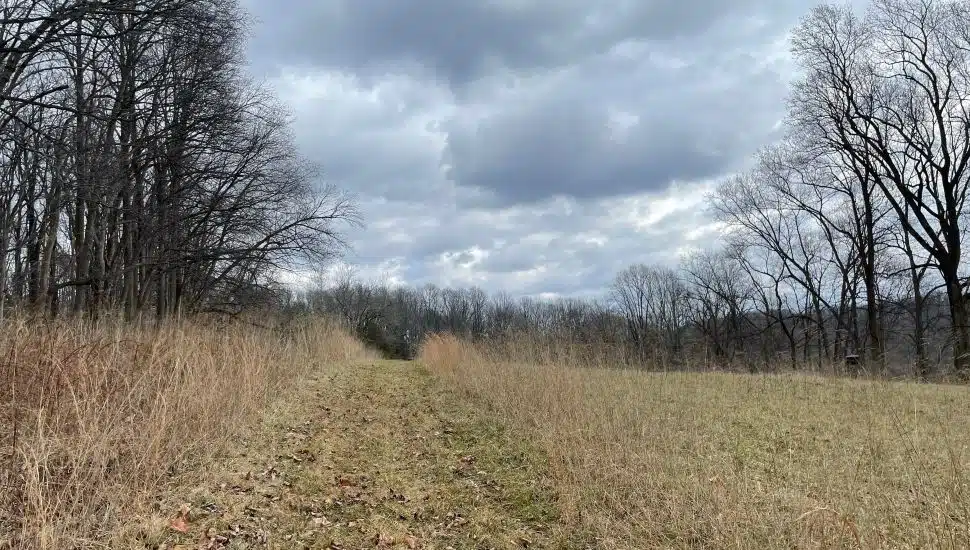 Magic Valley land