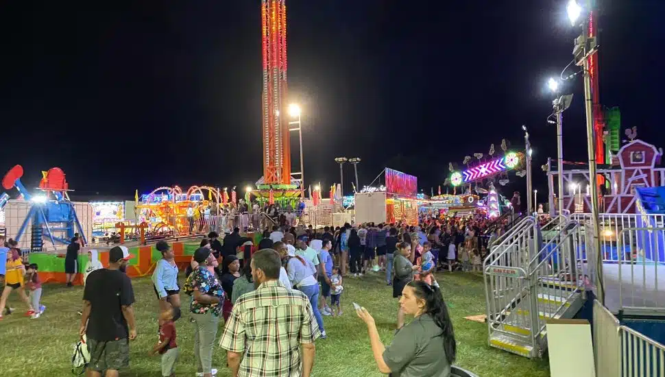 Strawberry Festival