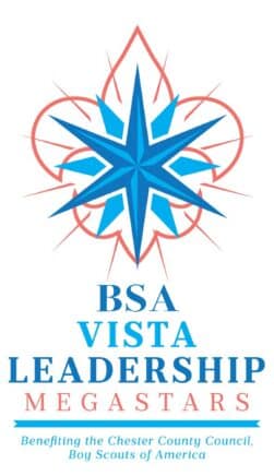 BSA VISTA Leadership Megastars logo
