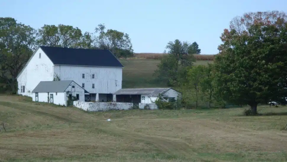 Willistown Estate