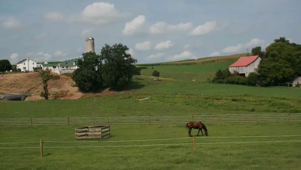 Chester County farm