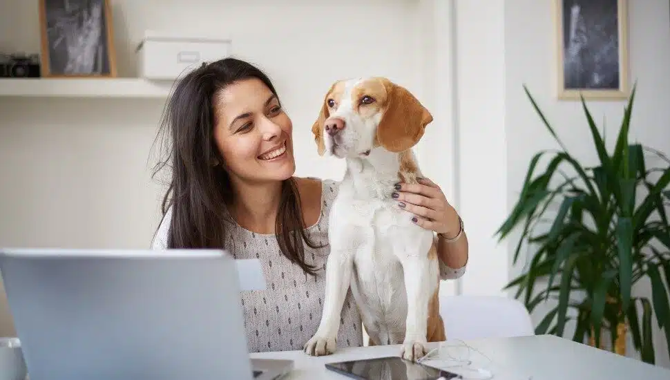 Five Fun Companies Hiring for Remote Positions