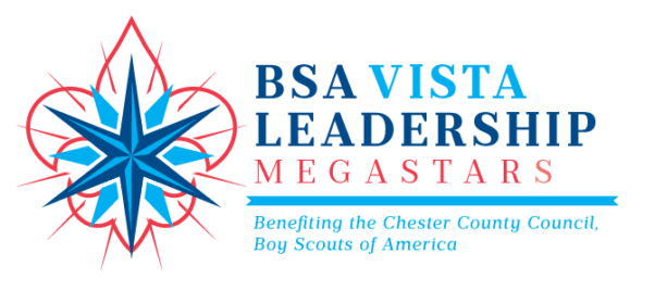 BSA VISTA Leadership Megastars logo