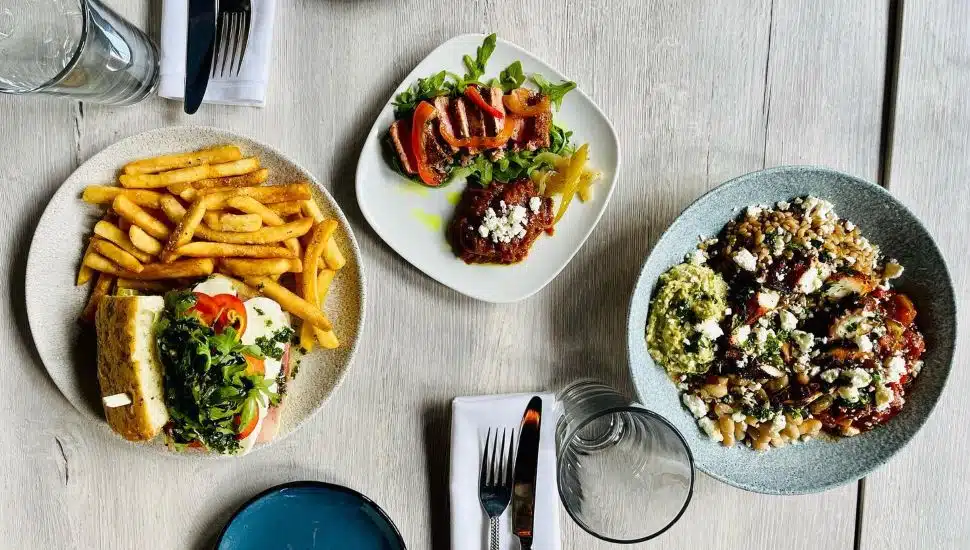 Lunch at Avola Kitchen + Bar.