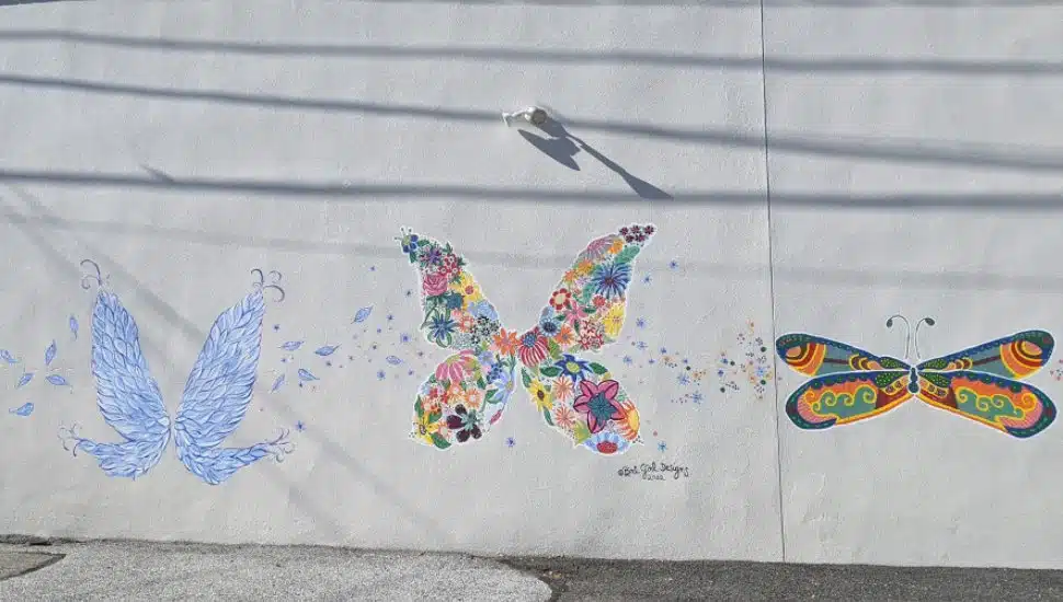 Colorful butterflies painted on the wall at Safe Harbor in West Chester