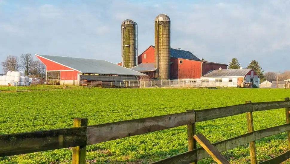 Pa farm