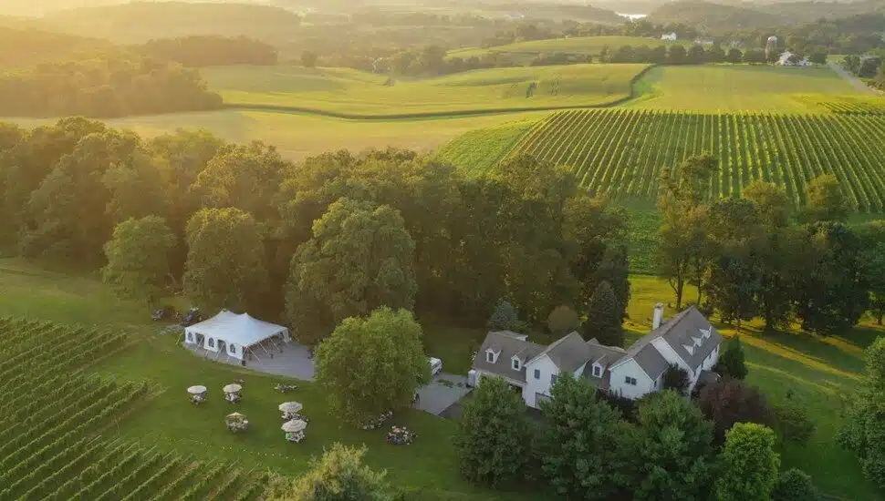 Wayvine Winery.