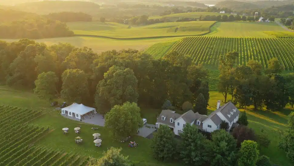 Wayvine Winery.