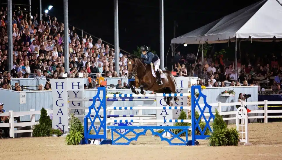 Devon Horse Show