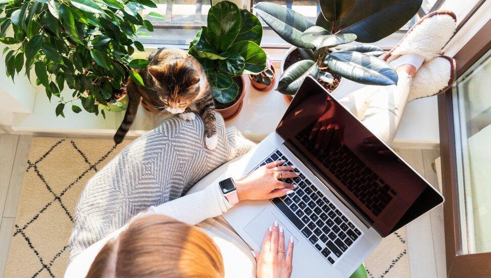 High-Paying (Some Six-Figure) Jobs You Can Do at Home