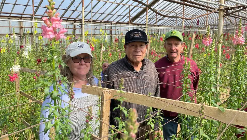 Lewis Barnard and staff at Barnards Orchard (1)