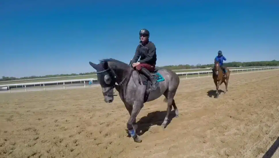 Parker Hendriks on horse