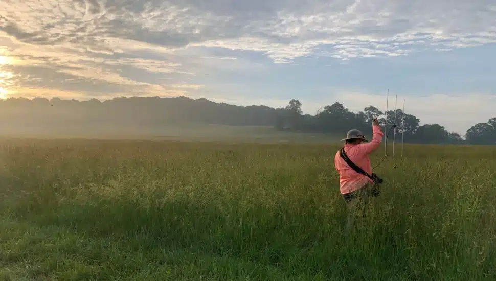 Willistown Conservation Trust, Natural Lands Work to Reverse Decline of Grassland Birds in Chester County
