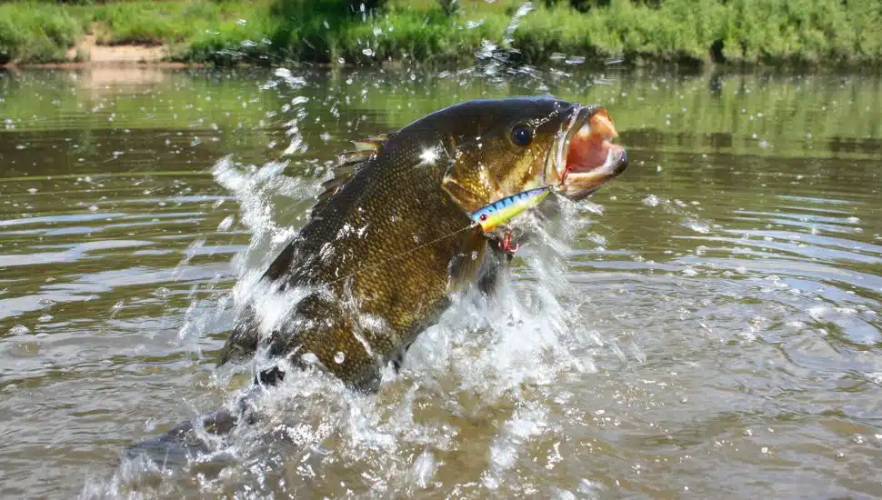 Chester County Lake Listed as One of Best Places for Bass Fishing in Pennsylvania