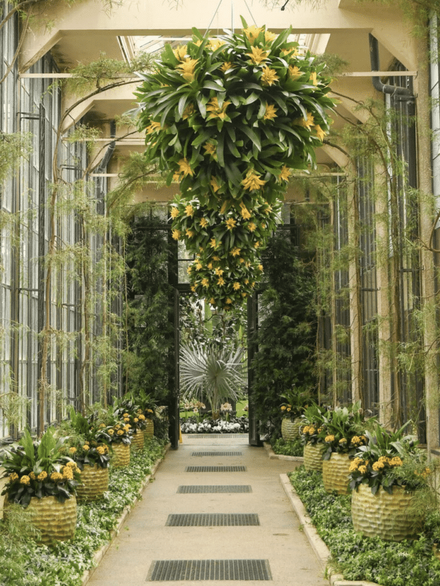 11 Things to Do After You Visited Longwood Gardens