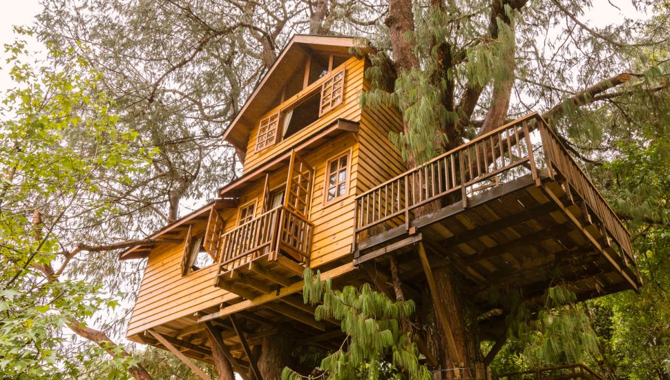treehouse