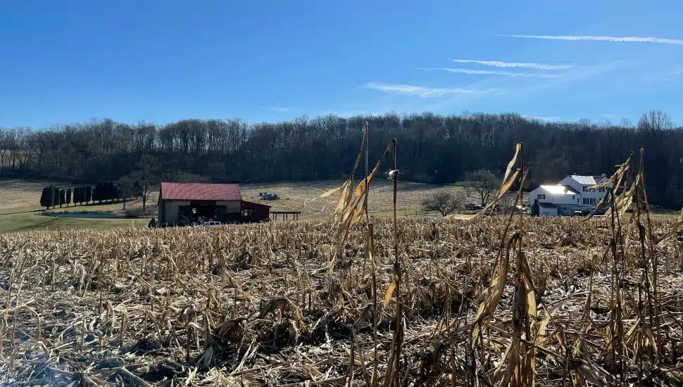 Aguilar farm